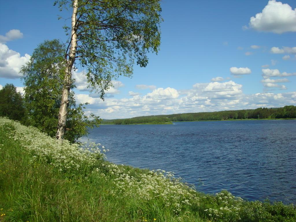 Pajala Cottages Route 99 Екстер'єр фото