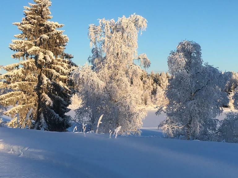 Pajala Cottages Route 99 Екстер'єр фото
